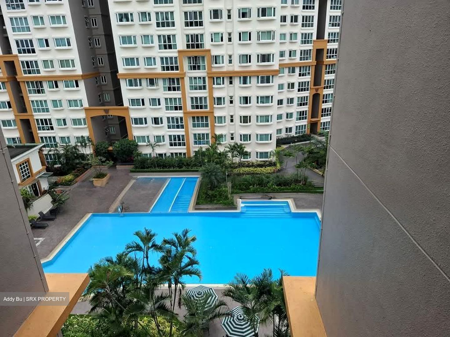 Evergreen Park (D19), Apartment #582373321